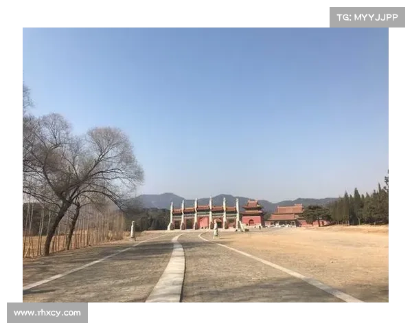 神道2.0攻略 神道2.0攻略